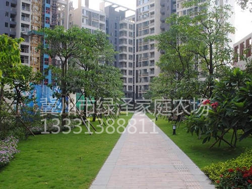 案例展示 (4)